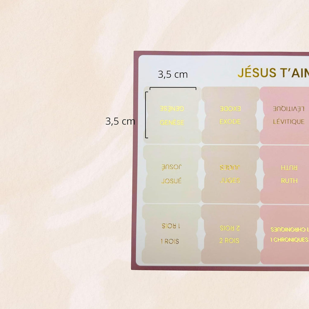 HOLY GIRL EN CHRIST - MINI